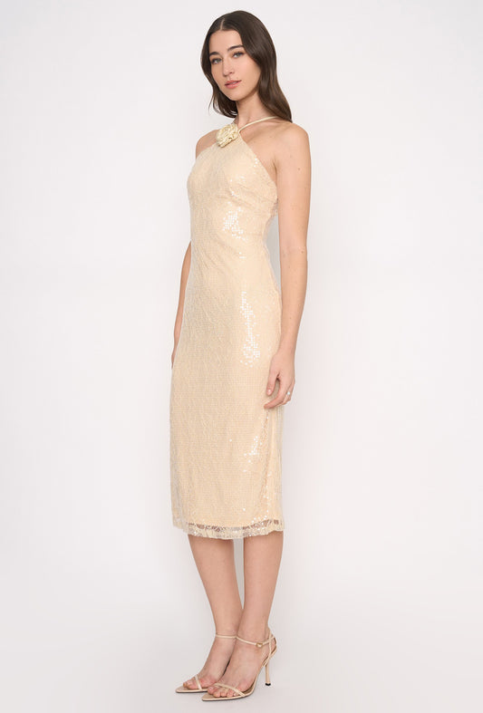 Sequin and Lace Midi Dress with Rose in Nude