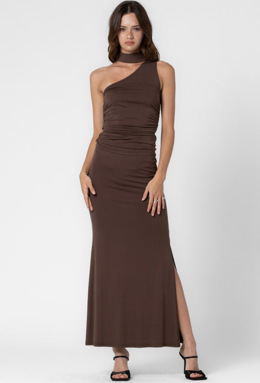 Mock Neck Top and Long Skirt Set in Brown