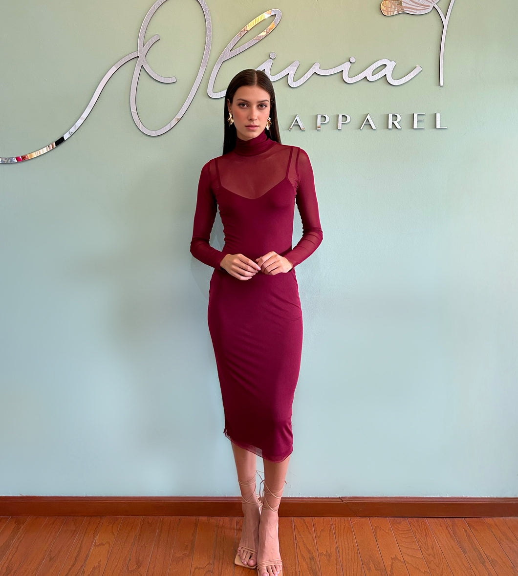 Mock Neck Mesh Dress in Burgundy