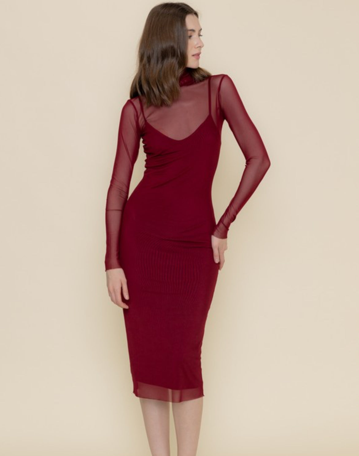 Mock Neck Mesh Dress in Burgundy